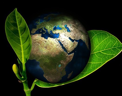Eco 1